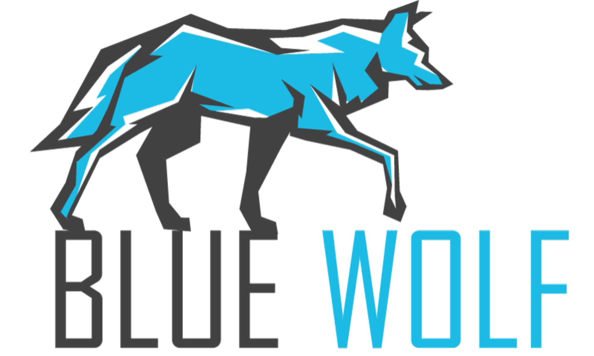 BlueWolf Events, LLC
